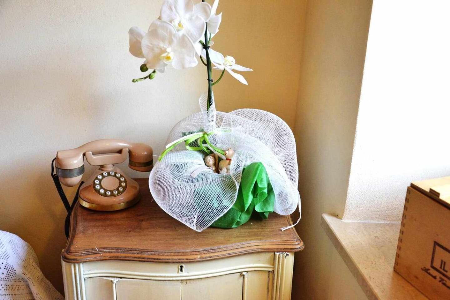 B&B La Bella Lucca Phòng bức ảnh